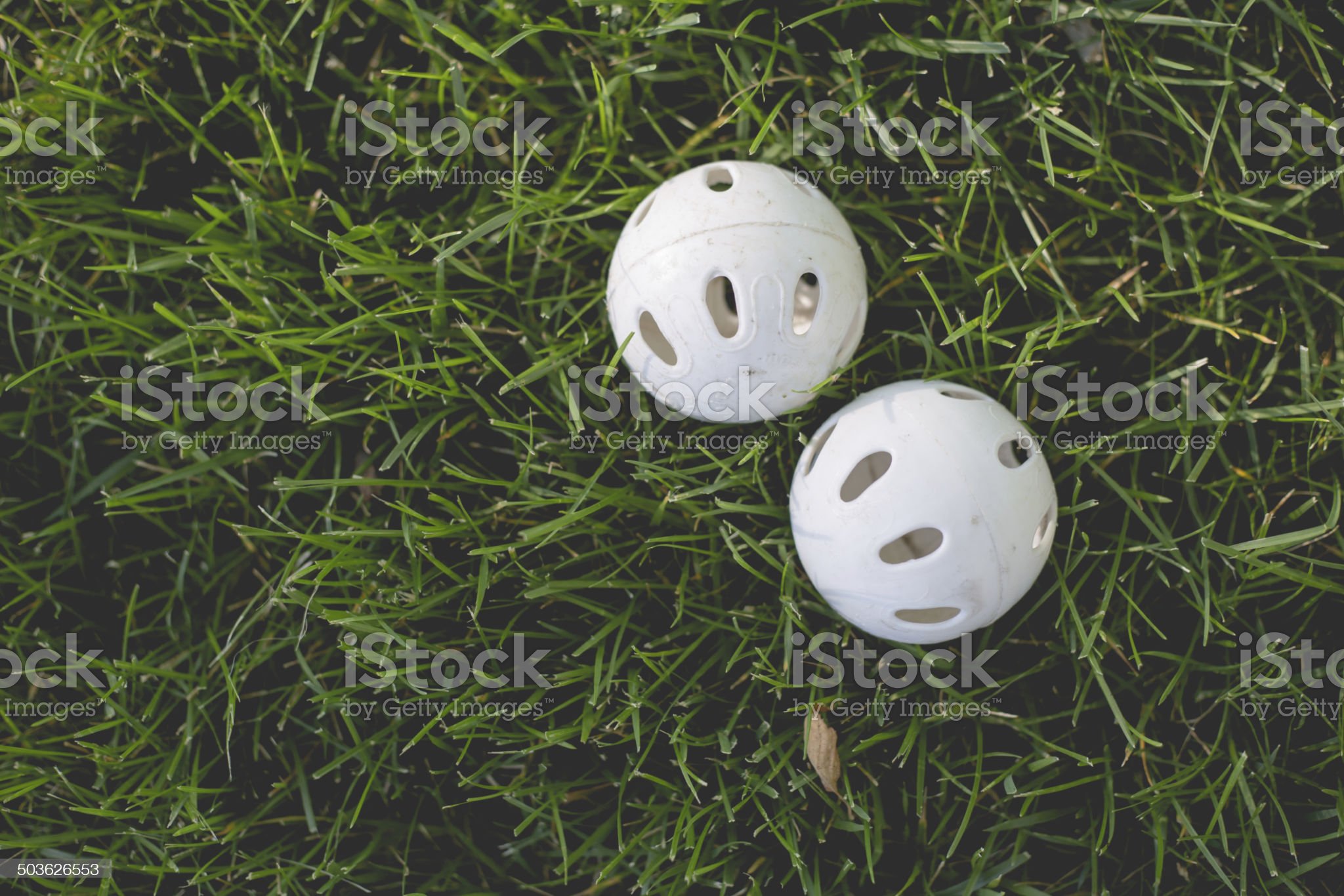 2 wiffle balls sit in the grass
