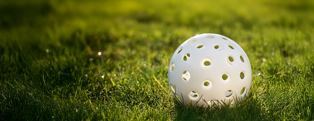 Wiffle ball in the grass