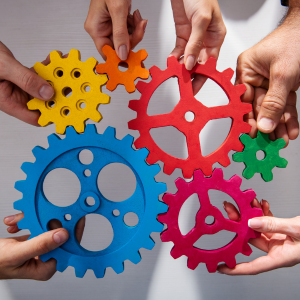 Board members play a vital role in shaping the future of the association